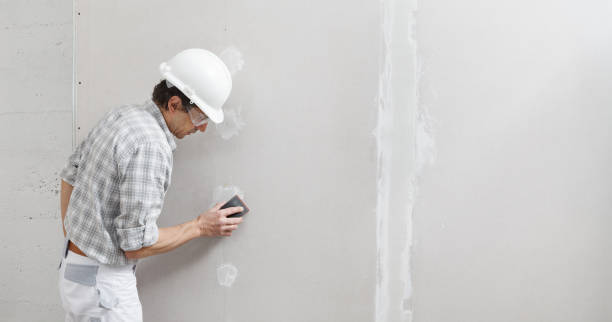 Best Mold Damage Restoration  in Kimberly, ID